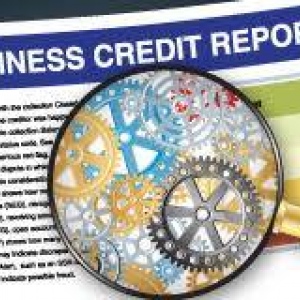 Business Credit Report